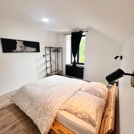 Duplex Cosy Proche Gerardmer Apartment *